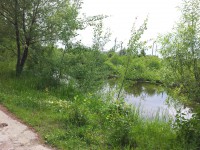/album/fotogalereya-glavnaya-stranitsa/a20130616-144826-jpg/